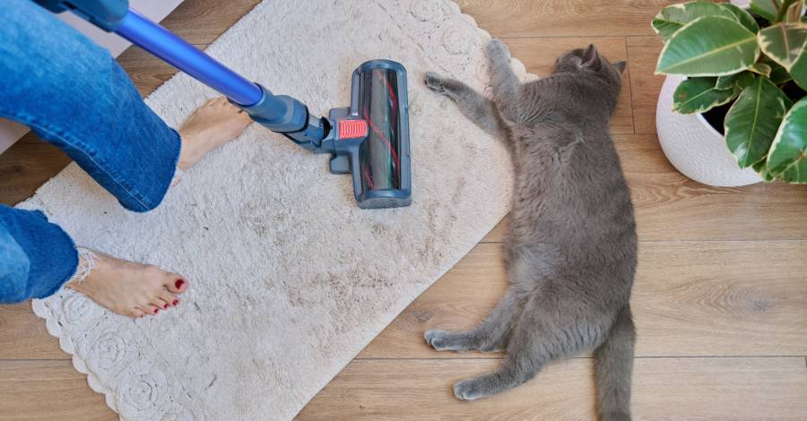 Melhor Aspirador de Pó para Pelos de Animais